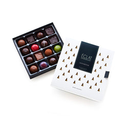 16-piece Winter Wonderland Holiday Chocolate Collection